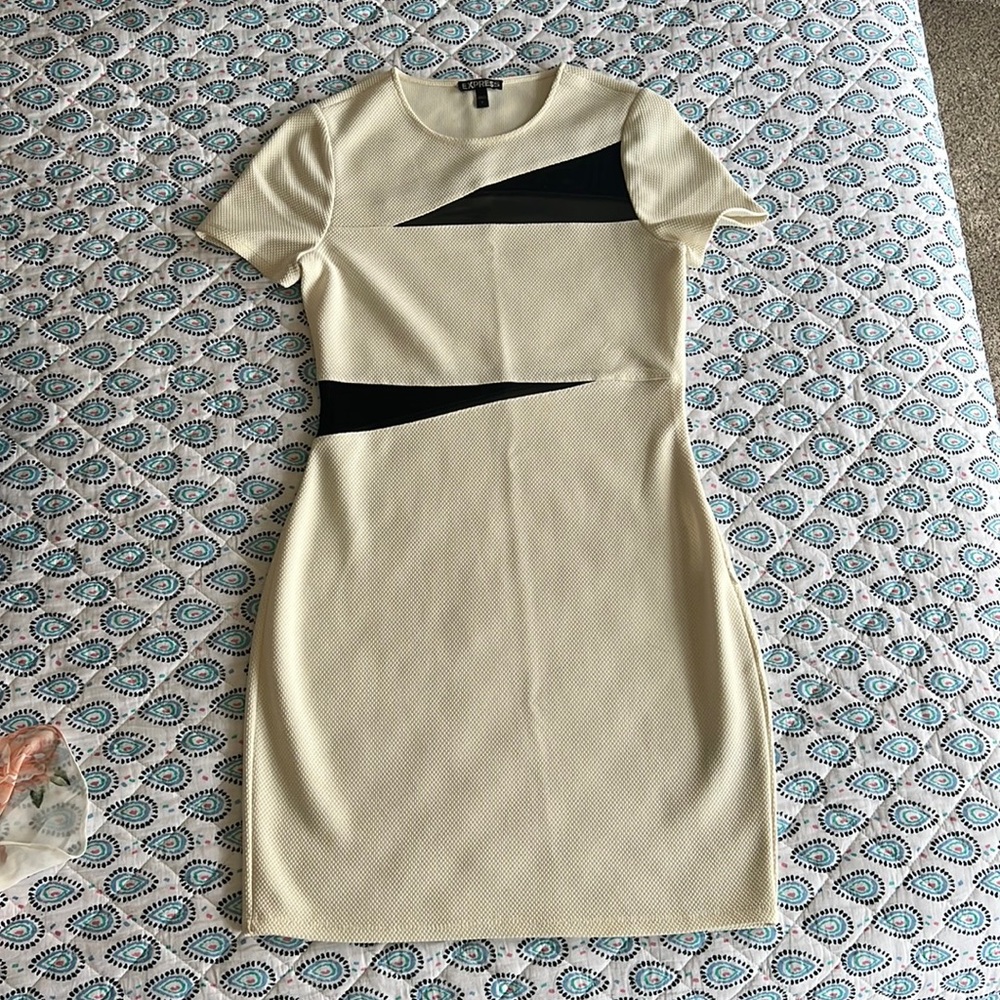 Express bodycon dress size 6